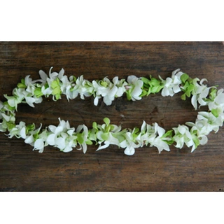 三重県津市 花屋 NaPuA ナプア。 Okika Lei デンファレのフレッシュレイ。 贈り物にもおすすめ。